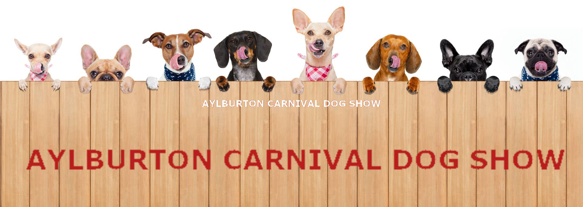 Dog Show Banner