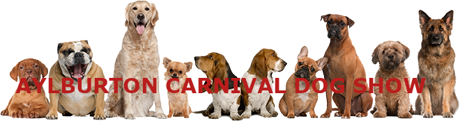 Dog Show Banner