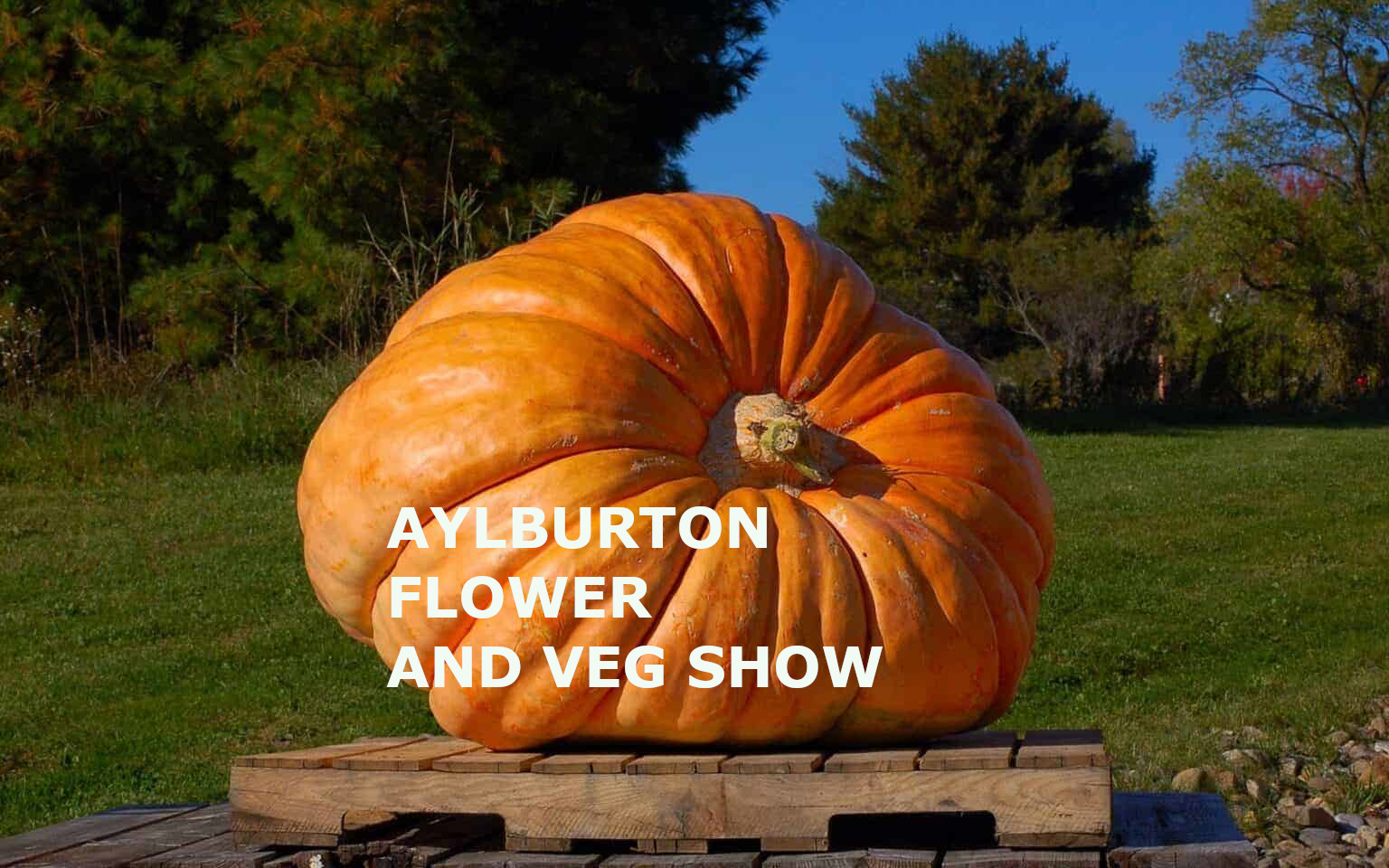 Pumpkin